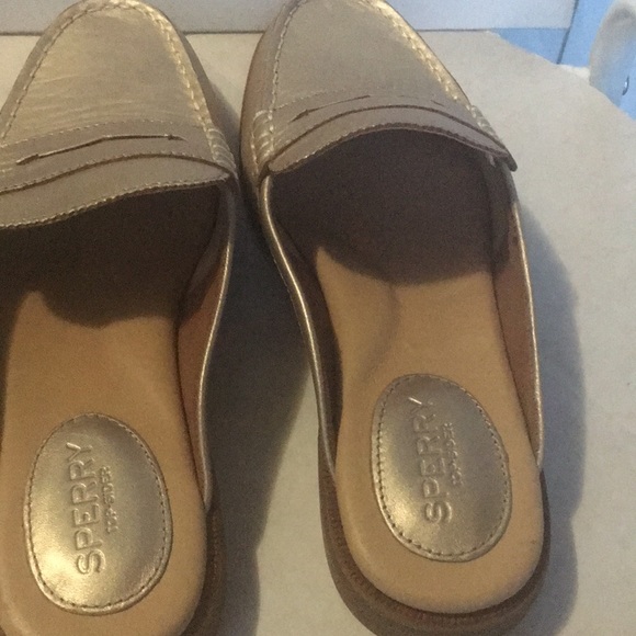 Shoes - Picture 2 of 3